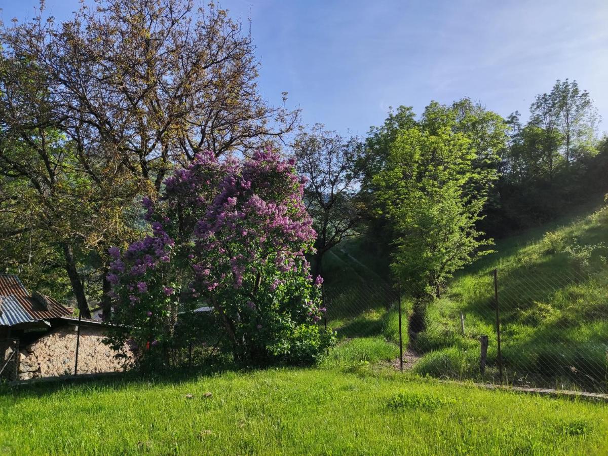 Comme Chez Vous Villa Bayons Exteriör bild
